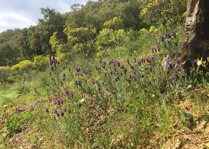 Appartarbus White Apartment