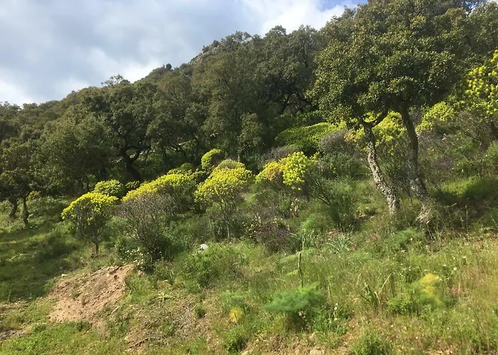 Apartment Appartarbus White